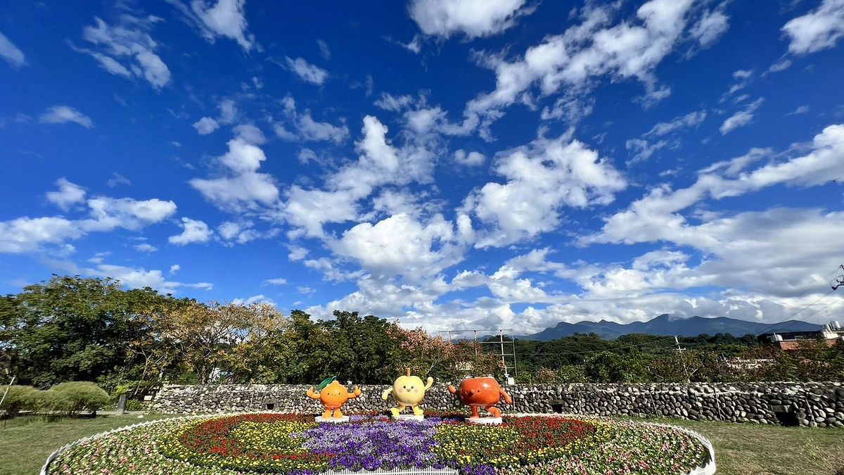 東勢河階廣場上的四季草花區,外圈粉紅色的是四季海棠,紫色的是矮牽牛,紅色的是一串紅,黃色的是萬壽菊,在藍天白雲的天光映照下更顯繽紛。(圖/台中市政府提供) 東勢河階廣場上的四季草花區,外圈粉紅色的是四季海棠,紫色的是矮牽牛,紅色的是一串紅,黃色的是萬壽菊,在藍天白雲的天光映照下更顯繽紛。(圖/台中市政府提供)