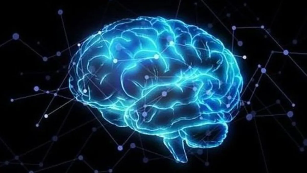 作者以貝氏觀點去檢視大腦。(示意圖,BBC News)