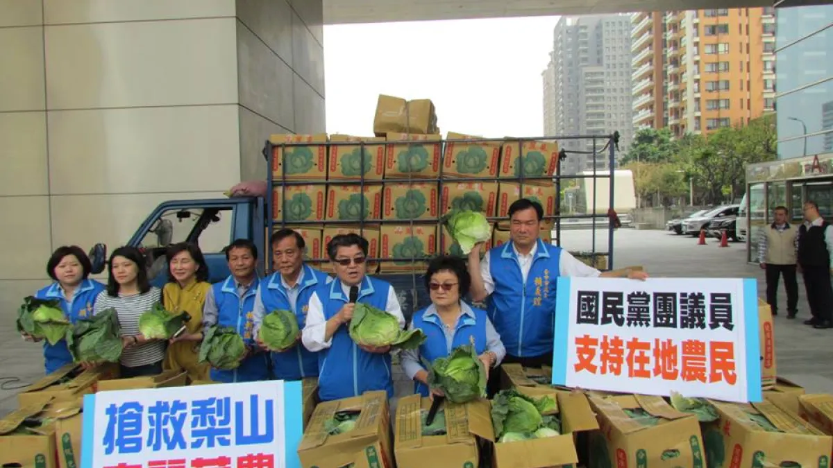 台中市議會國民黨黨團稱梨山高麗菜滯銷,黨團認購300箱,但是卻被菜農踢爆這批高麗菜根本不是來自梨山。(取自副議長張清照臉書)