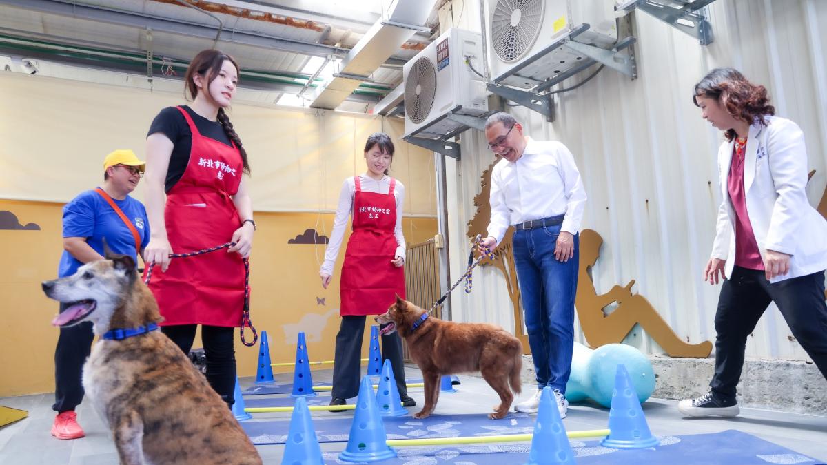 全國首座動物長照園區啟用!侯友宜推終身醫療照護、復健課程 打造毛孩高齡照護新模式