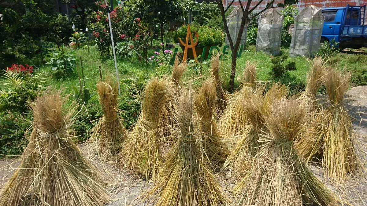 親子稻草人創意賽 發揮創意拿獎金