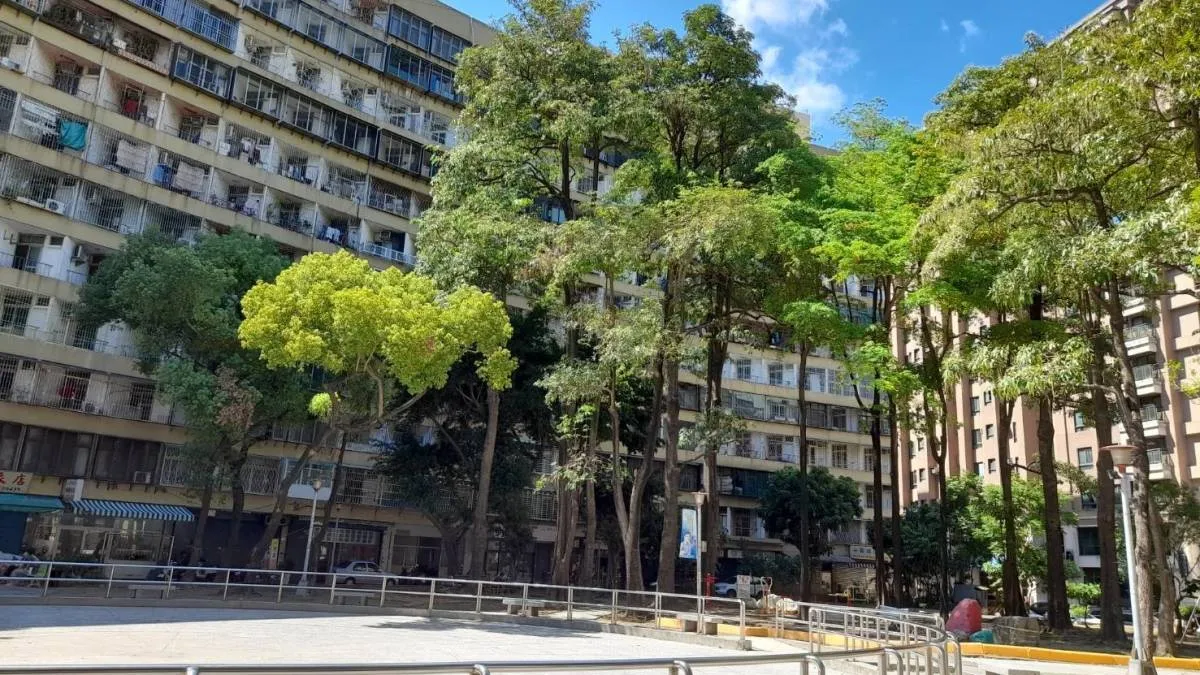 果貿社區經養工處進場辦理喬木梳枝作業,增加視覺通透感,提升整體環境綠美化程度。(圖/養工處提供)