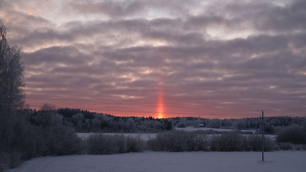 《樹朋友》梁祐禎攝影個展作品題材含括歐洲冬日的夕陽,在白雪覆蓋的叢林中,夕陽有如參天火柱佇立在天地之間。(圖/新北市文化局) 《樹朋友》梁祐禎攝影個展作品題材含括歐洲冬日的夕陽,在白雪覆蓋的叢林中,夕陽有如參天火柱佇立在天地之間。(圖/新北市文化局)