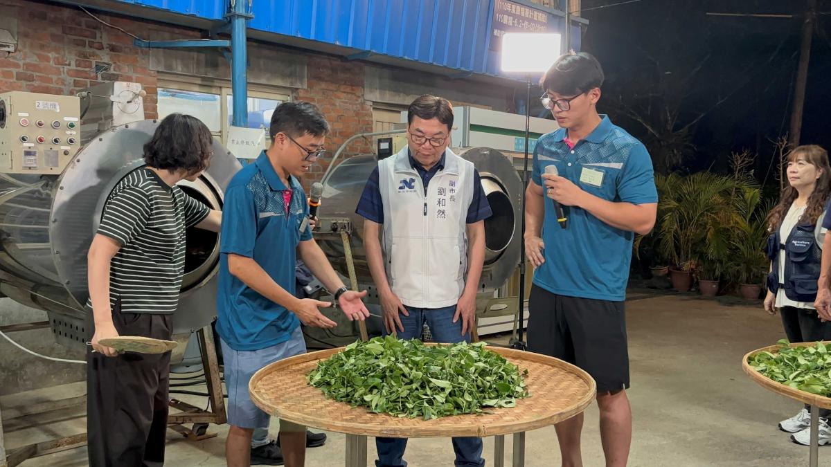 雙北製茶技術競賽登場 新北茶農拚續寫全國冠軍榮耀
