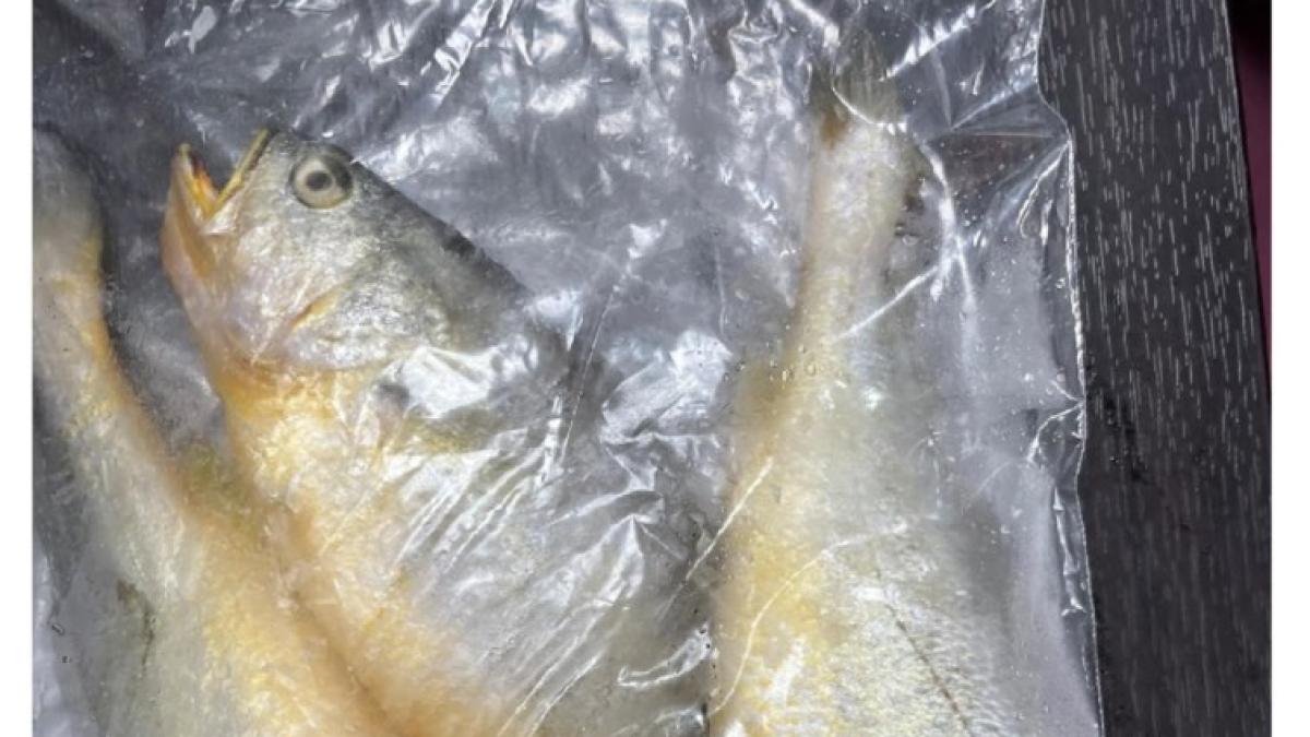 6.2噸中國進口「黃花魚」檢出禁藥!蛋糕盒也被抓包有螢光劑 邊境全數攔截