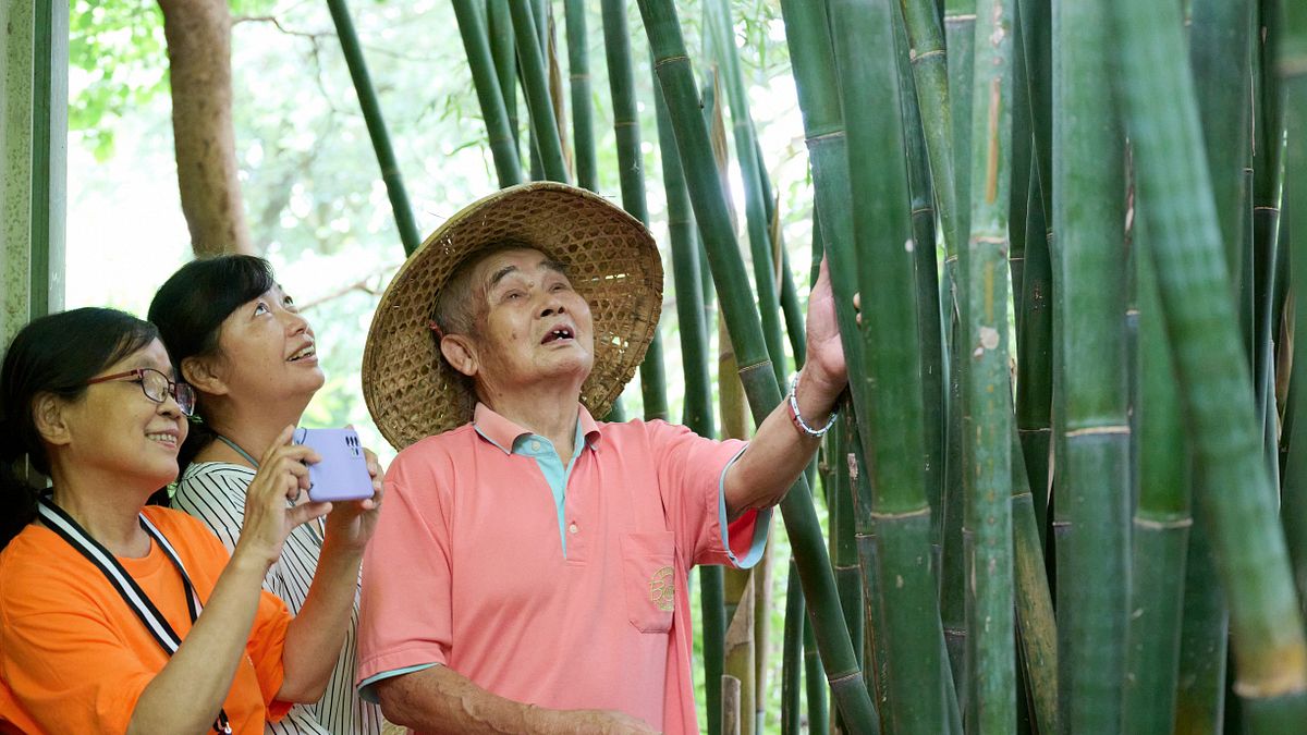 土城社區培養銀髮導演,教長輩用手機拍攝紀錄片。(圖/新北市政府文化局) 土城社區培養銀髮導演,教長輩用手機拍攝紀錄片。(圖/新北市政府文化局)