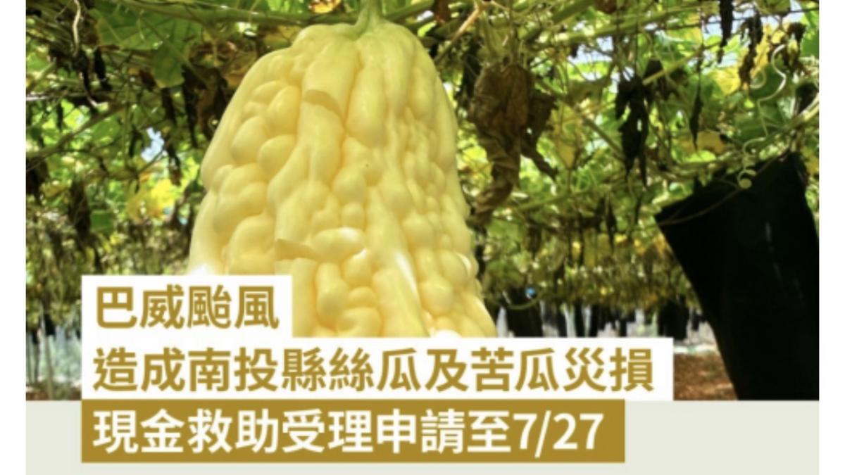 巴威颱風造成投縣農作物災損 農業部同意辦理現金救助
