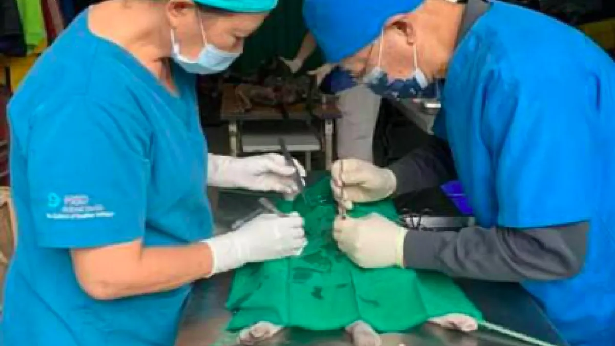 高雄市動物保護處持續關心原鄉犬貓過度繁殖問題,長期宣導犬貓絕育手術。(圖/高雄市農業局提供)