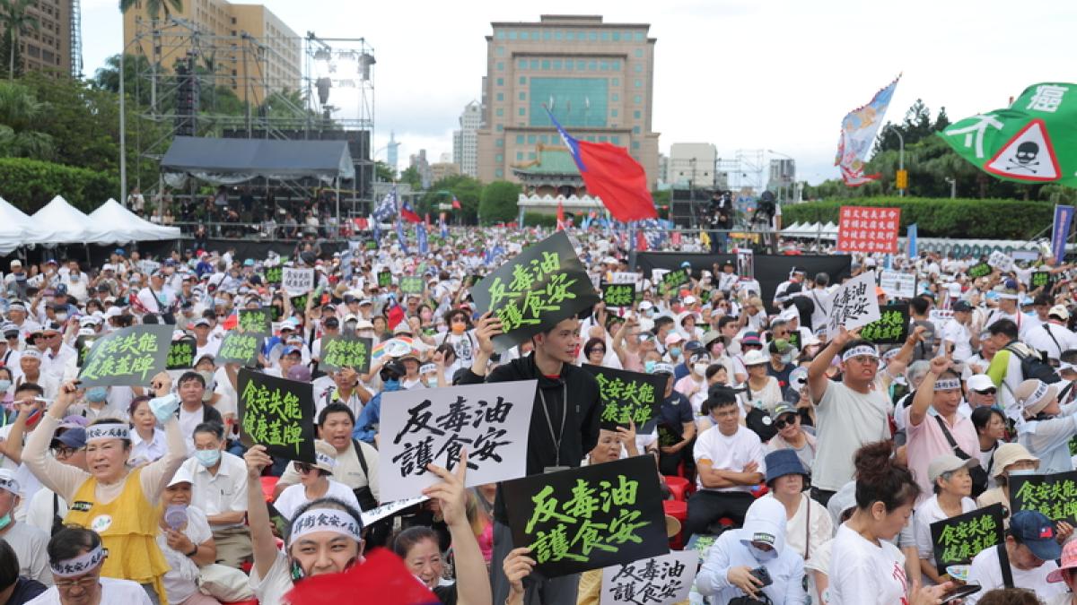 林庭瑤專欄:癌油、蘿蔔糕、蚊子院…這個政府為何「不問責」?