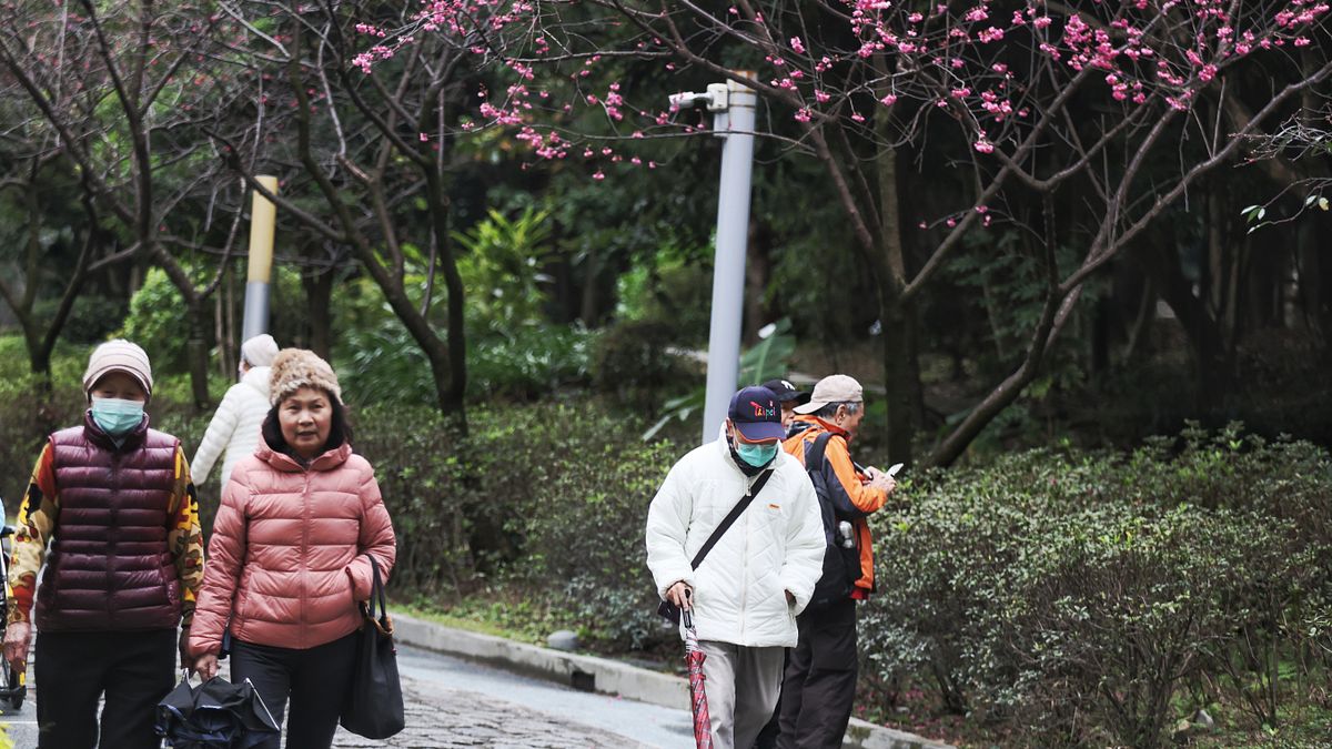 天氣》今年寒流什麼時候來?霸王級寒流恐再現?鄭明典曝「1罕見巧合」:情況少見