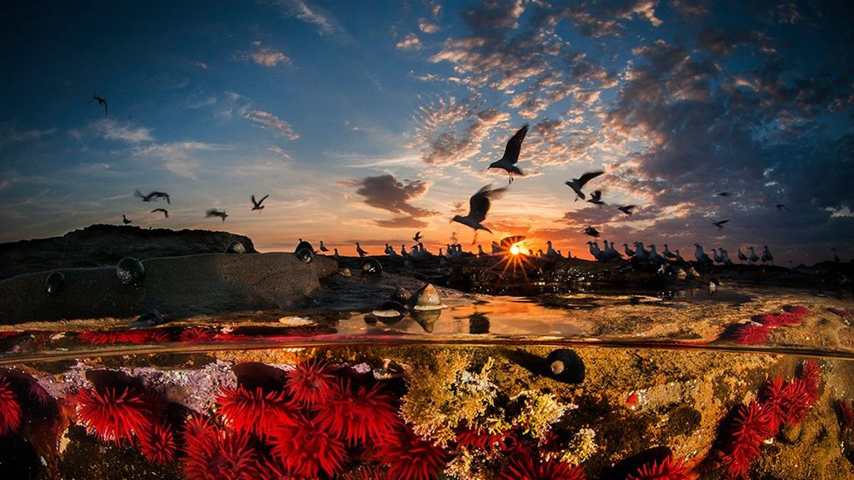 一條水平線,劃開了已知與未知的世界 一條水平線,劃開了已知與未知的世界