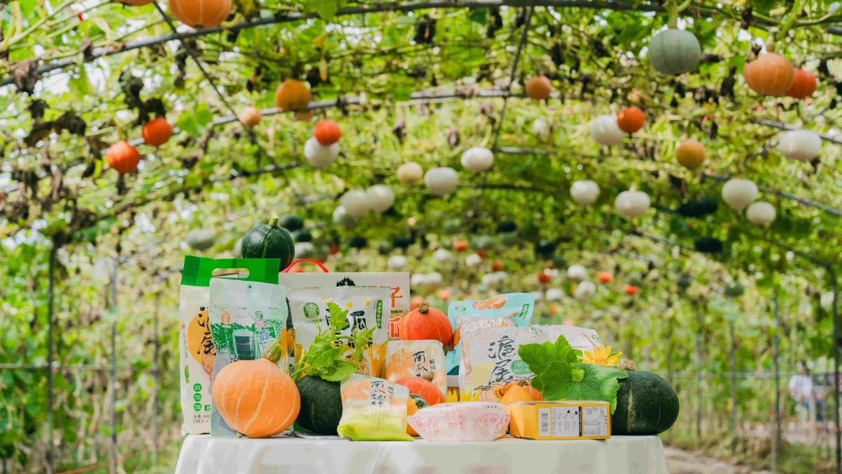 13款南瓜加工品稱霸全國!淡水農會再推新品 栗子南瓜禮盒同步開放預購