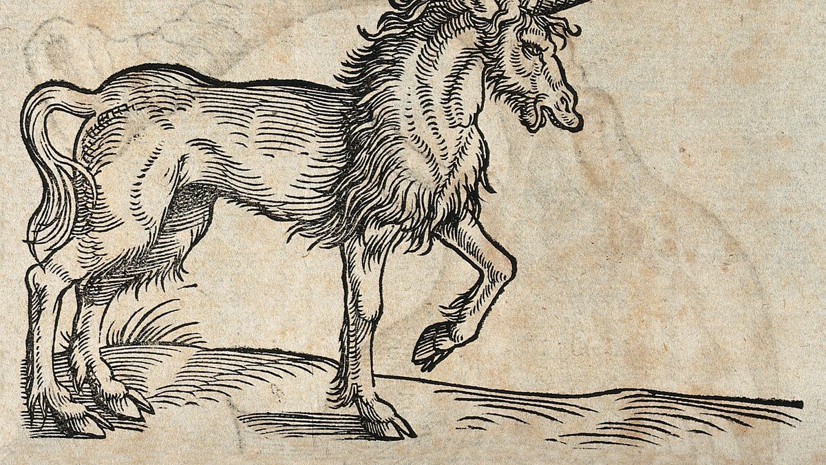 神秘動物學者專門研究未知生物,雖被視為偽科學,但其實對動物保育甚有貢獻。(圖 / Wellcome Images @wikimedia commons) 神秘動物學者專門研究未知生物,雖被視為偽科學,但其實對動物保育甚有貢獻。(圖 / Wellcome Images @wikimedia commons)