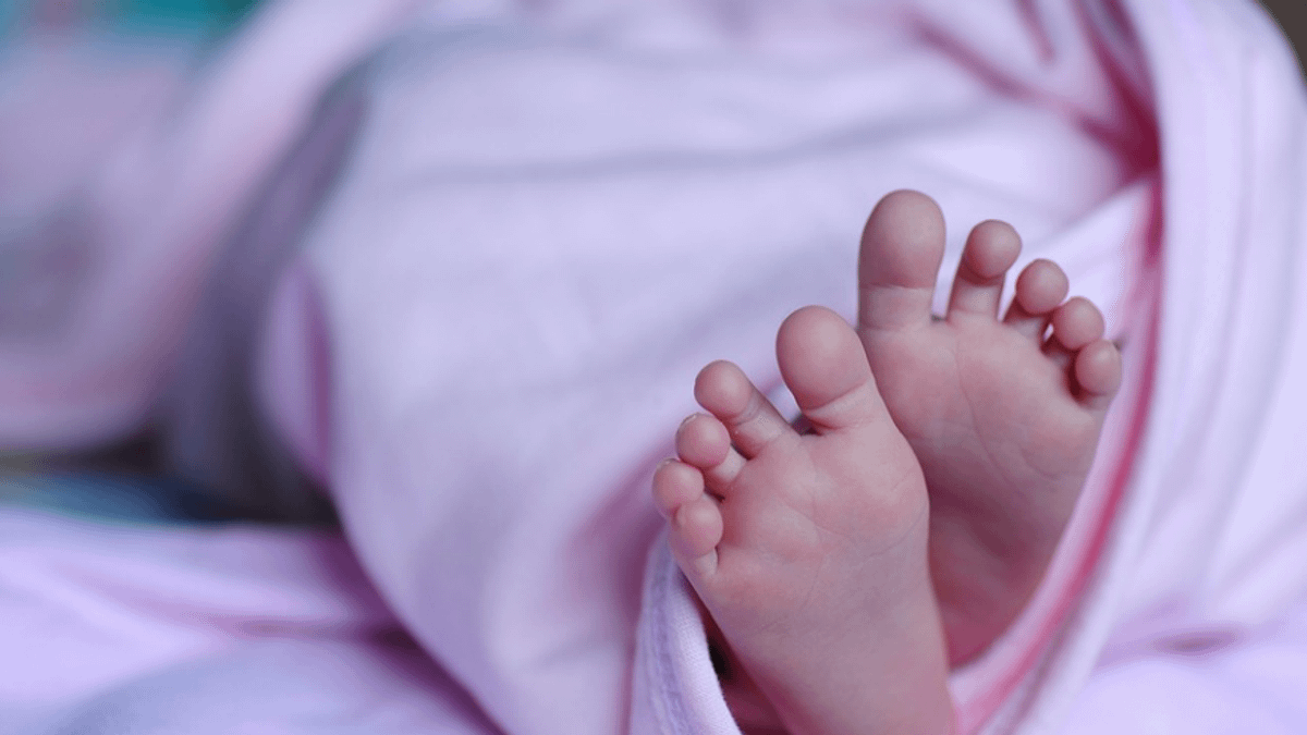 新北又爆虐童事件!(圖/翻攝自Pixabay) 新北又爆虐童事件!(圖/翻攝自Pixabay)