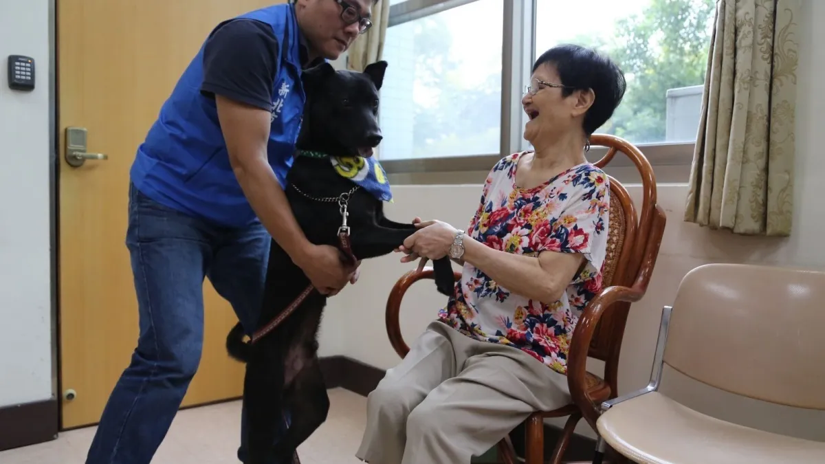毛寶貝找新工作 訓練樂齡陪伴犬服務失智長者