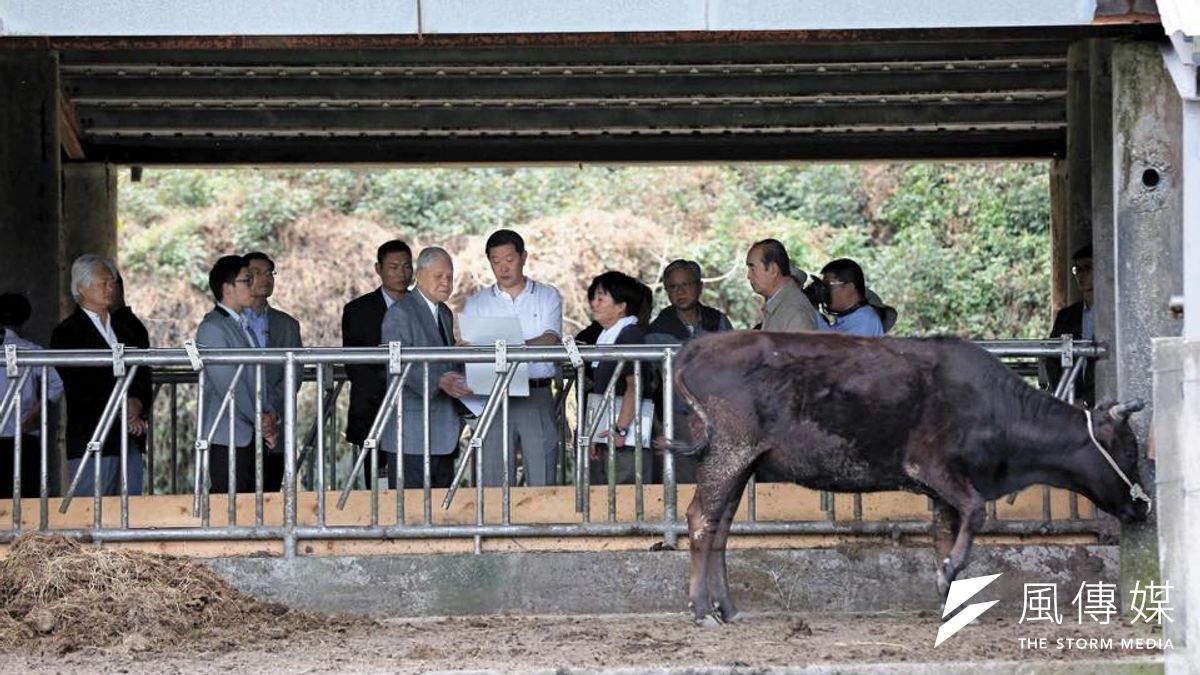 財信傳媒董事長謝金河6日在臉書貼文指出,擎天崗的但馬牛被前總統李登輝收購送到花蓮兆豐農場,未來將可望成為台灣發展和牛的主力。(取自謝金河臉書) 財信傳媒董事長謝金河6日在臉書貼文指出,擎天崗的但馬牛被前總統李登輝收購送到花蓮兆豐農場,未來將可望成為台灣發展和牛的主力。(取自謝金河臉書)