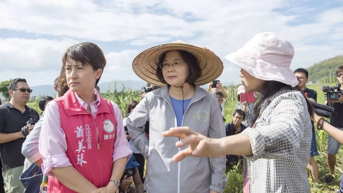 民主進步黨主席暨總統參選人蔡英文到訪花蓮農場。(圖片取自/蔡英文臉書)