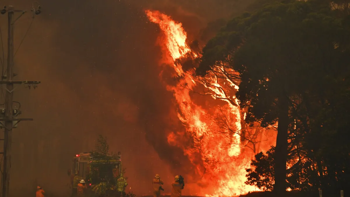 澳洲東部野火燃燒不盡,新南威爾斯省成為重災區。(AP)