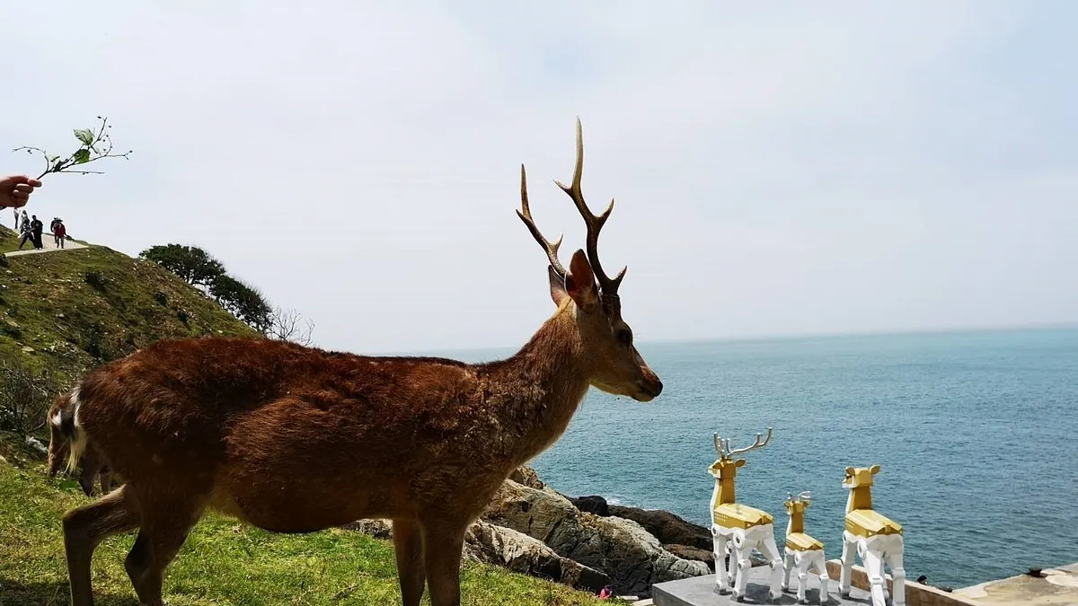 北竿島北方的小島-大坵有豐富的動植物生態及海蝕地形,還有野放的梅花鹿。(圖/馬祖國家風景區管理處提供)
