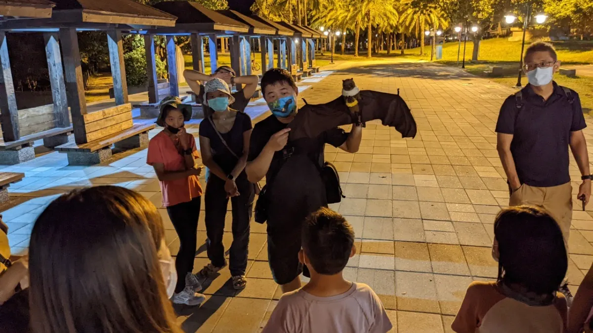 花蓮縣政府舉辦夜間生態導覽活動,今年將帶領民眾認識臺灣狐蝠夜間生態。(圖/花蓮縣政府提供)
