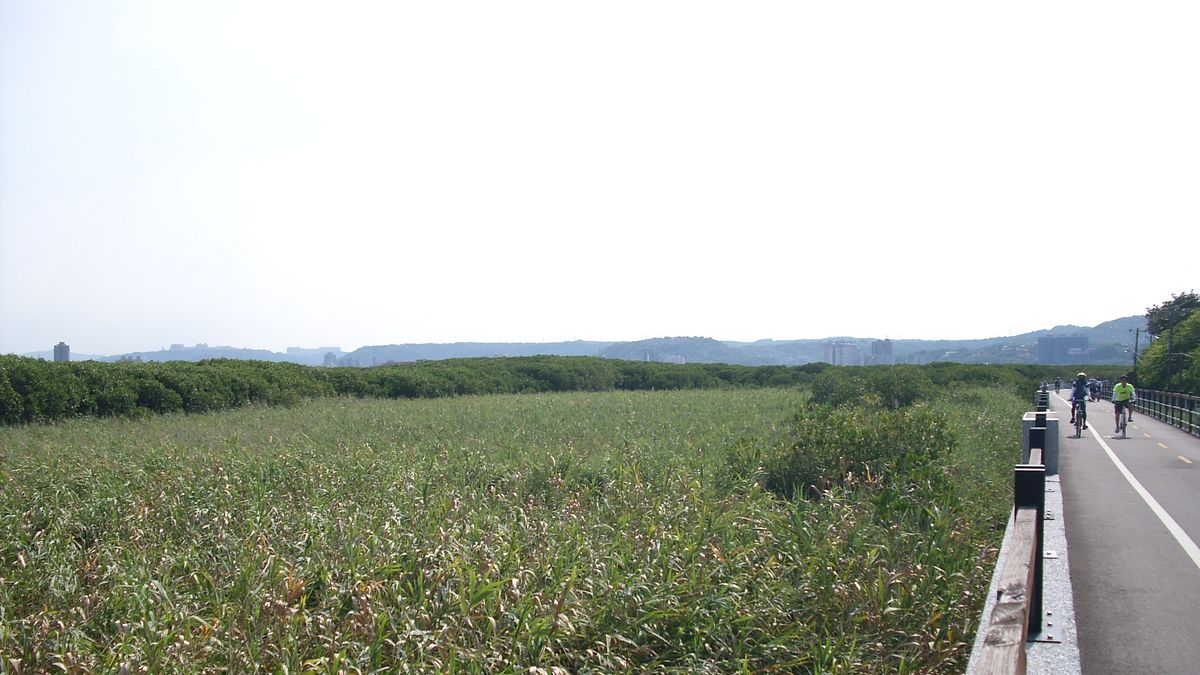 為維護水鳥棲地 關渡自然保留區範圍將規劃變更評估 為維護水鳥棲地 關渡自然保留區範圍將規劃變更評估
