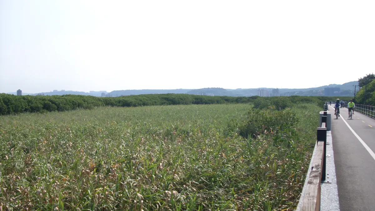 為維護水鳥棲地 關渡自然保留區範圍將規劃變更評估