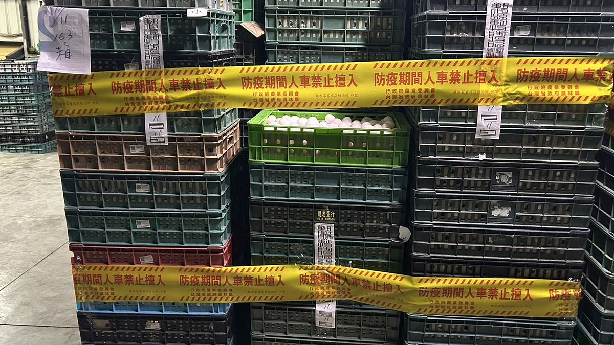 芬普尼蛋「又流出4萬顆」!文雅畜牧場疑偷賣至台中這間蛋行