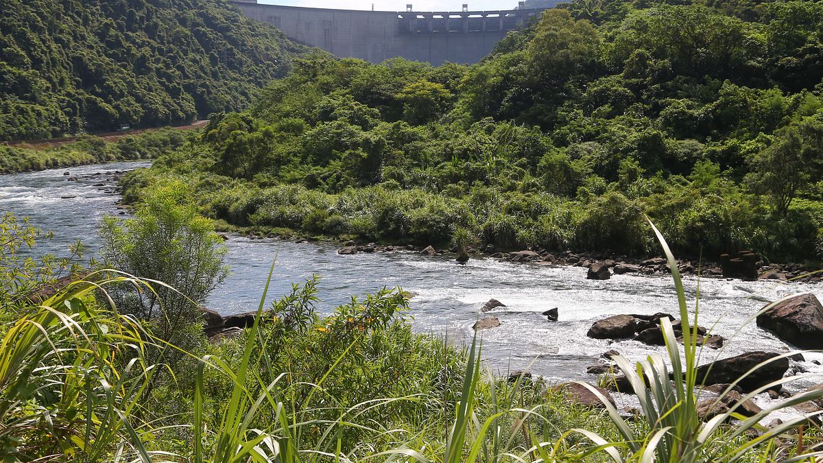 【新新聞】「跑三點半」的電力政策…李鴻源揭「翡翠水庫」發電背後的國家警訊