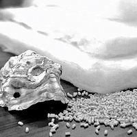 在台灣政府及企業的努力下,廢棄蚵繩 及牡蠣殼重獲新生,成為新的紡織材料。 (圖/時報出版提供) 在台灣政府及企業的努力下,廢棄蚵繩 及牡蠣殼重獲新生,成為新的紡織材料。 (圖/時報出版提供)