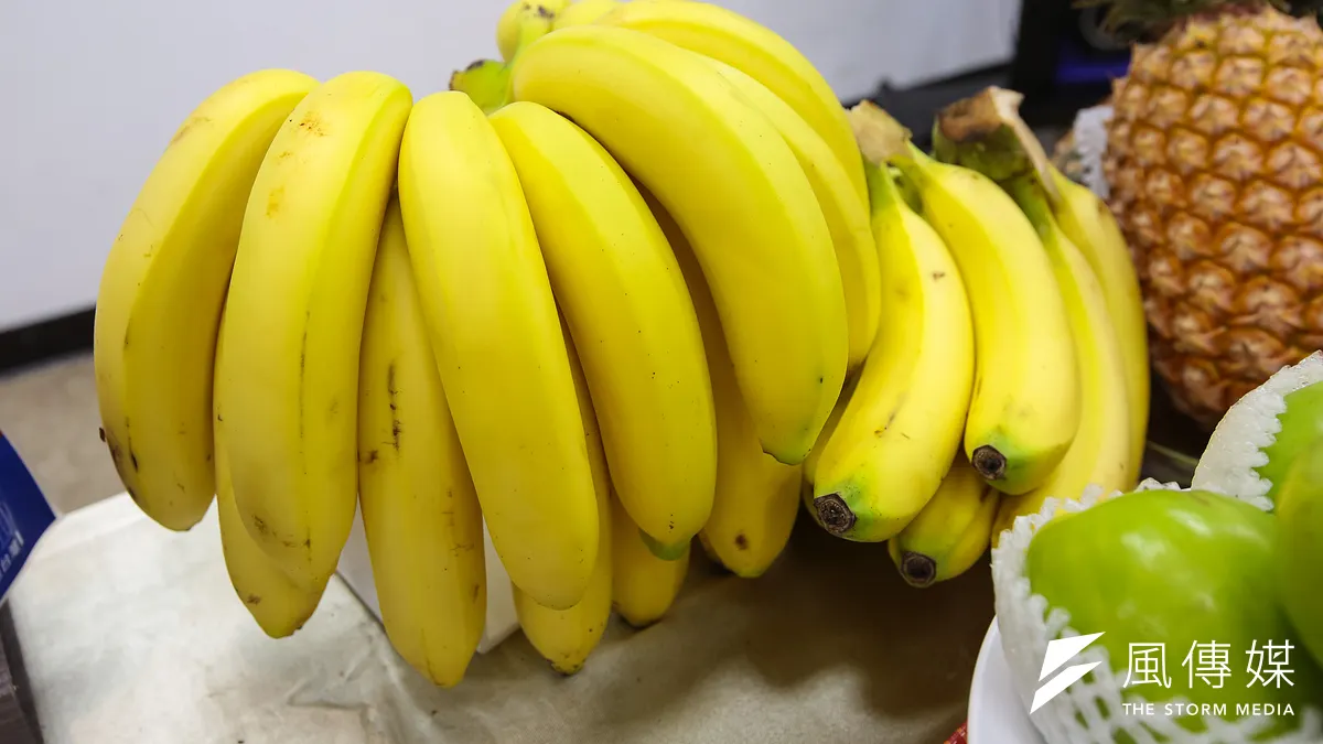 20190308-農委會8日舉行「台灣農產品外銷平台銷日成果」記者會,並於現場展示香蕉等新鮮農產。(顏麟宇攝)