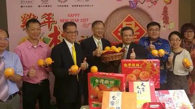 台中椪柑前進東南亞 外銷訂單突破百噸