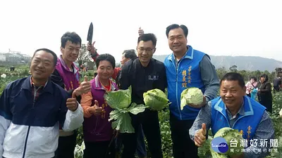 不畏政治口水 國民黨民代再度認購現採高麗菜助農民