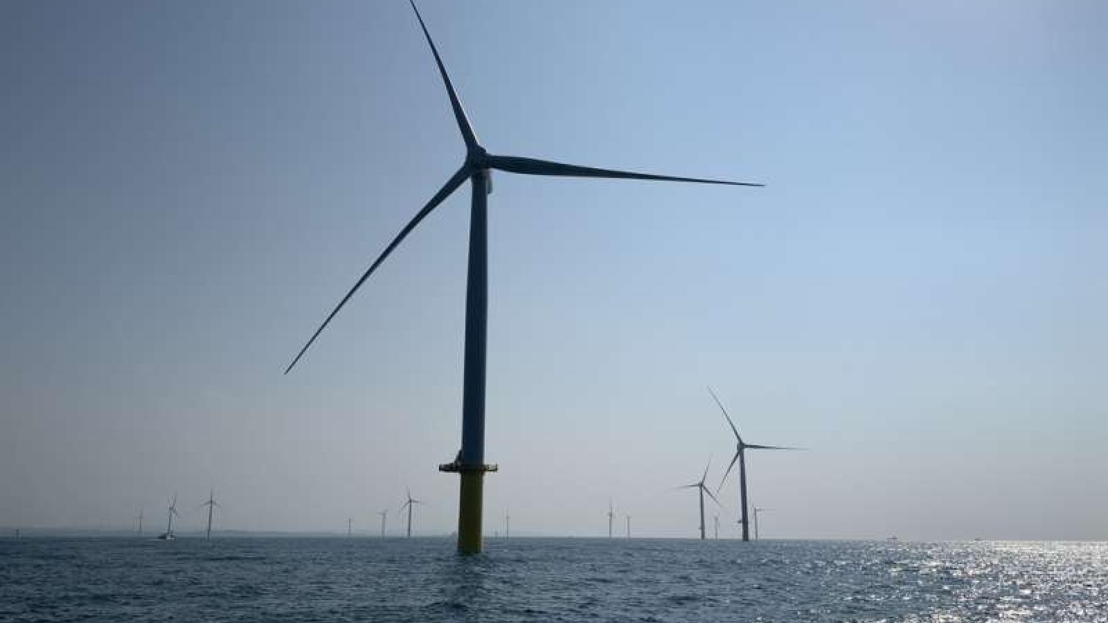 【新新聞】離岸風電進入淘汰賽!美國政策逆轉、日本低價模式失靈 中國逆勢狂奔