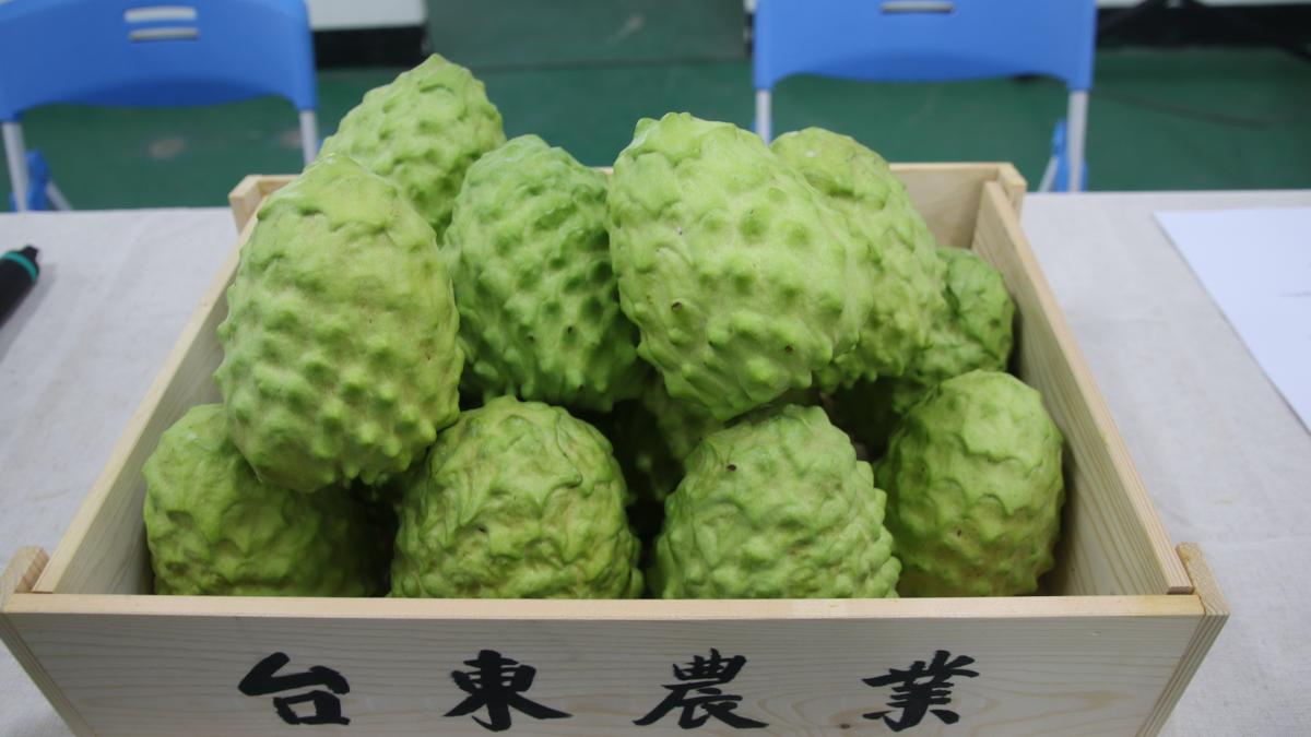 觀點投書:鳳梨釋迦沒有《漢賊不兩立》
