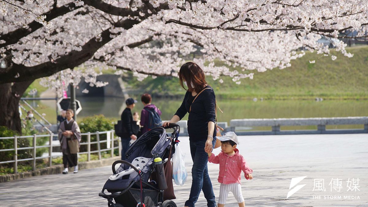 新冠肺炎疫情讓旅行社導遊及領隊工作者收入直接歸零。圖為日本櫻花祭遊客賞櫻。(資料照,盧逸峰攝) 新冠肺炎疫情讓旅行社導遊及領隊工作者收入直接歸零。圖為日本櫻花祭遊客賞櫻。(資料照,盧逸峰攝)