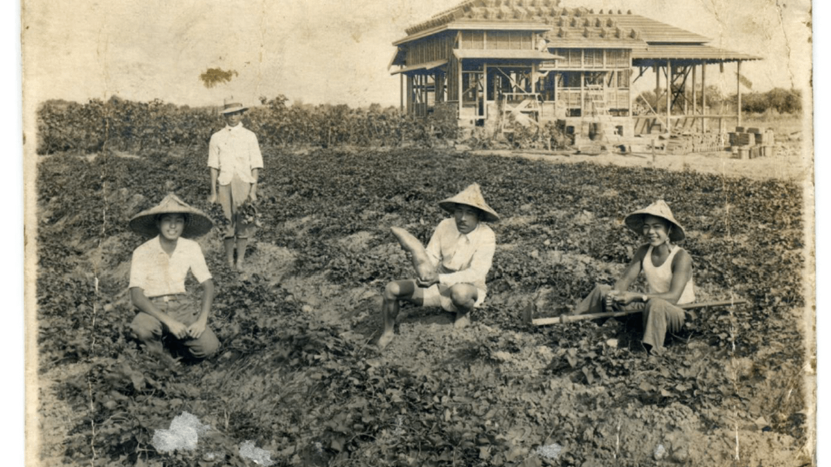 日治時期農人在逍遙園中務農一景。(圖日人二角龍藏提供) 日治時期農人在逍遙園中務農一景。(圖日人二角龍藏提供)