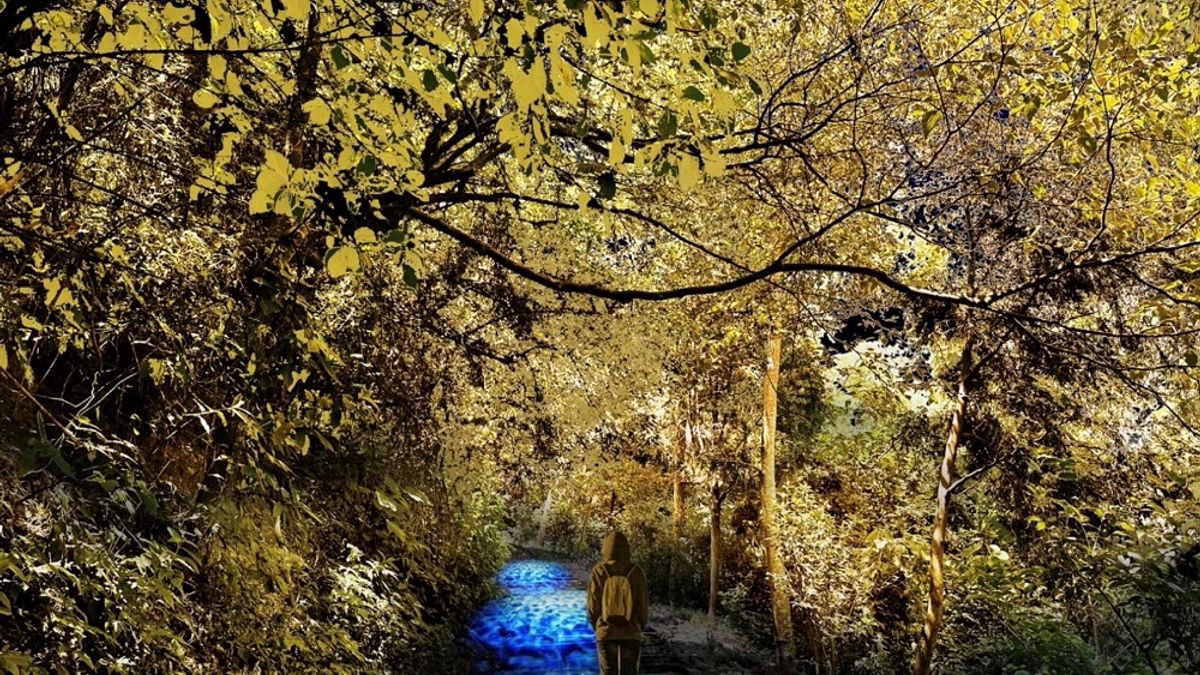 屏東「奇幻大津」結合山水瀑布、在地文化與光環境的夜遊體驗。(圖/屏東縣政府文化處提供) 屏東「奇幻大津」結合山水瀑布、在地文化與光環境的夜遊體驗。(圖/屏東縣政府文化處提供)