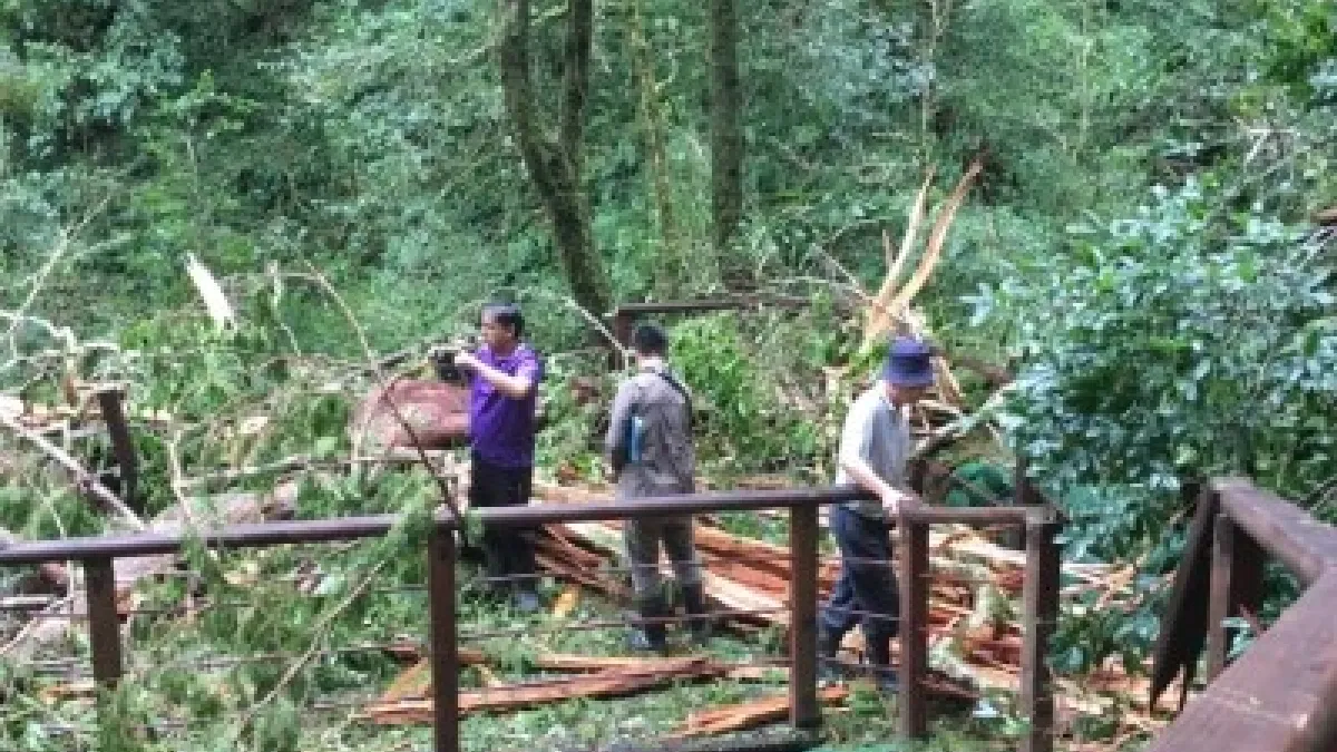 植樹護林守護台灣 大溪工作站送樹苗