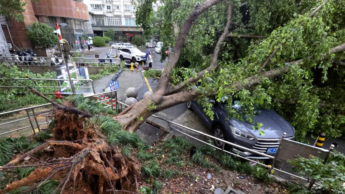 2026年8月10日,「白海豚」颱風過後,浙江省溫州市一片狼籍。(美聯社)