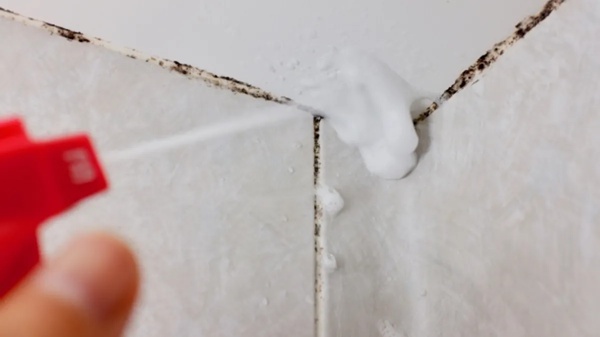 浴室磁磚、馬桶、水龍頭等地方經常反覆發霉,有什麼清潔產品能有效清除汙漬呢?網友推薦全聯一款清潔劑能輕鬆解決。(示意圖/取自photoAC) 浴室磁磚、馬桶、水龍頭等地方經常反覆發霉,有什麼清潔產品能有效清除汙漬呢?網友推薦全聯一款清潔劑能輕鬆解決。(示意圖/取自photoAC)