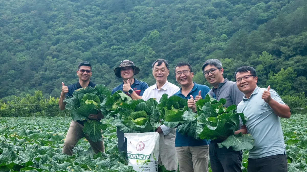 台肥營業ㄧ處處長何上堂(左三)率同仁前往高麗菜田視察,大讚給力肥一號節省人力及提高肥料養分利用率。(台肥提供)