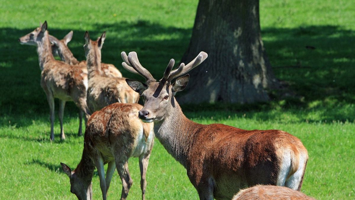 經濟發展與環保真的不能共存嗎?(圖/Kaz@pixabay) 經濟發展與環保真的不能共存嗎?(圖/Kaz@pixabay)