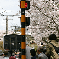 佐賀県有田町の陶山神社で事故が発生。(写真/元気佐賀フェイスブックより) 佐賀県有田町の陶山神社で事故が発生。(写真/元気佐賀フェイスブックより)
