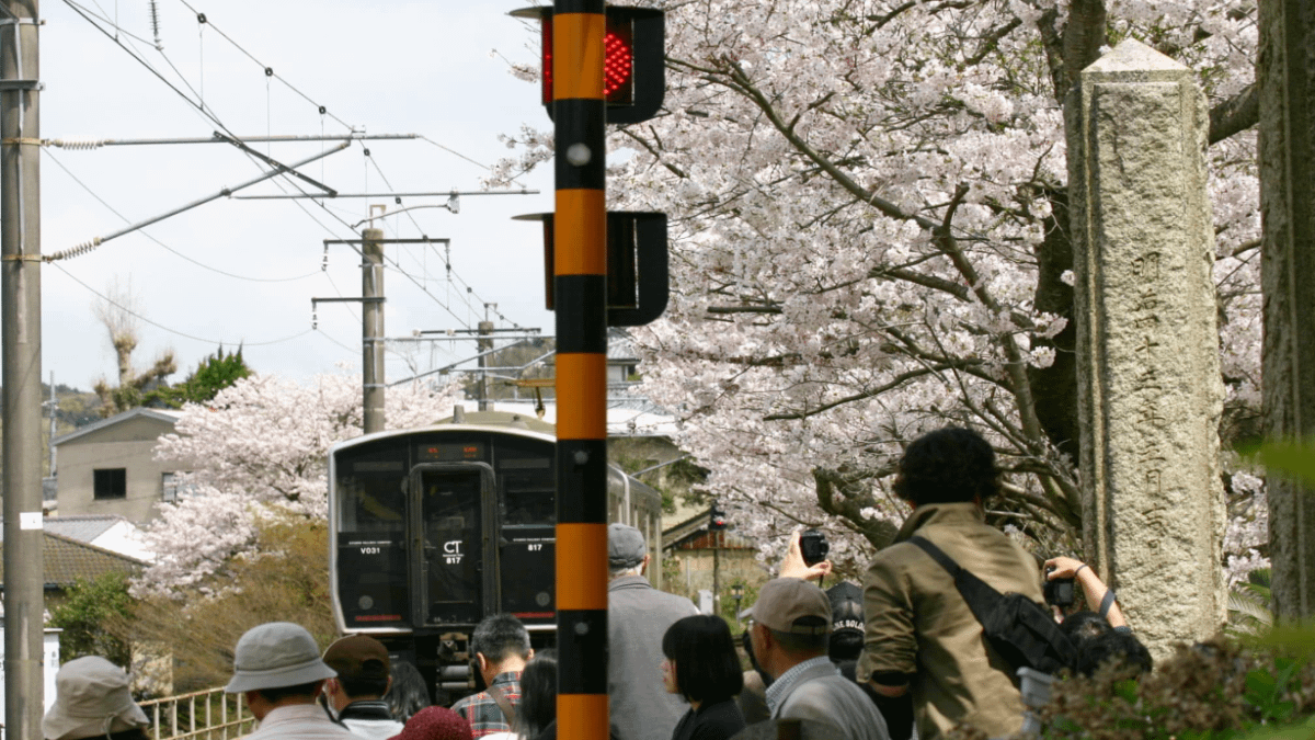 佐賀県有田町の陶山神社で事故が発生。(写真/元気佐賀フェイスブックより) 佐賀県有田町の陶山神社で事故が発生。(写真/元気佐賀フェイスブックより)