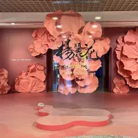 「世紀初戀‧楊麗花 歌仔戲特展」展出珍貴影音、照片及相關展品,並透過AI技術實現觀眾與楊麗花合照及共演願望。(圖/國立傳統藝術中心提供) 「世紀初戀‧楊麗花 歌仔戲特展」展出珍貴影音、照片及相關展品,並透過AI技術實現觀眾與楊麗花合照及共演願望。(圖/國立傳統藝術中心提供)