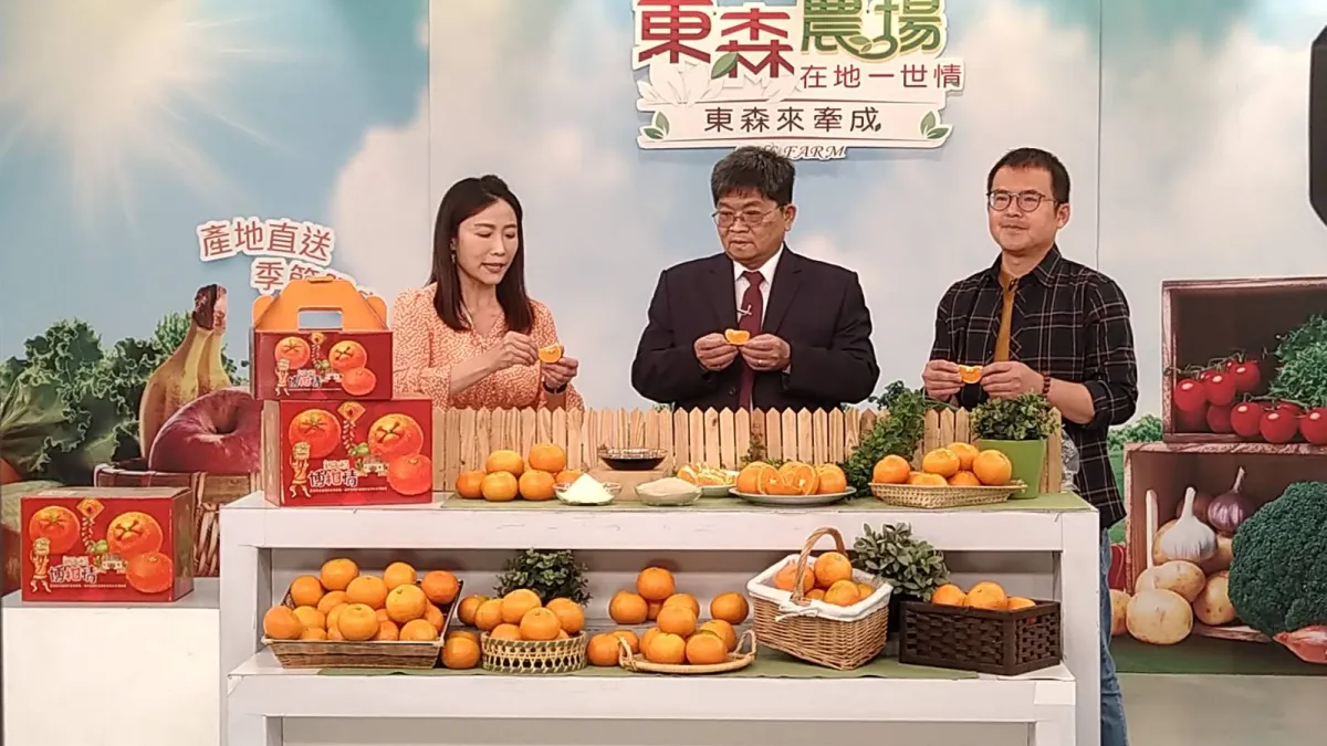 台中市府農業局輔導東勢區農會與東森購物合作,推出限量「新年頭 博柑情-茂谷柑禮盒」-農業局副局長蔡勇勝今-28-日特別北上東森購物台-與購物專家怡君一同拍攝直播節目。(圖/台中市政府)