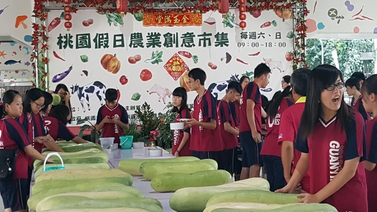 為蓮花季提前熱身 百條大冬瓜彩繪超吸睛