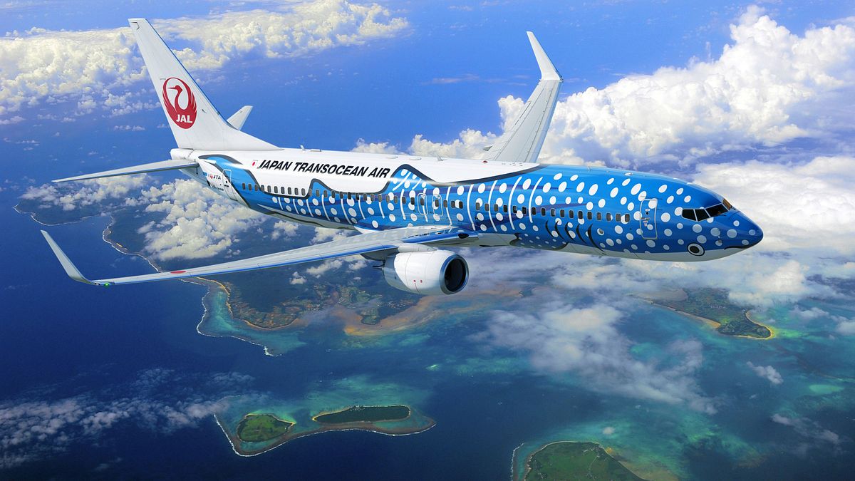 沖繩來回不到4000元太狂!JAL新航線「天天直飛」7天開搶 鯨鯊彩繪機網喊一定要搭