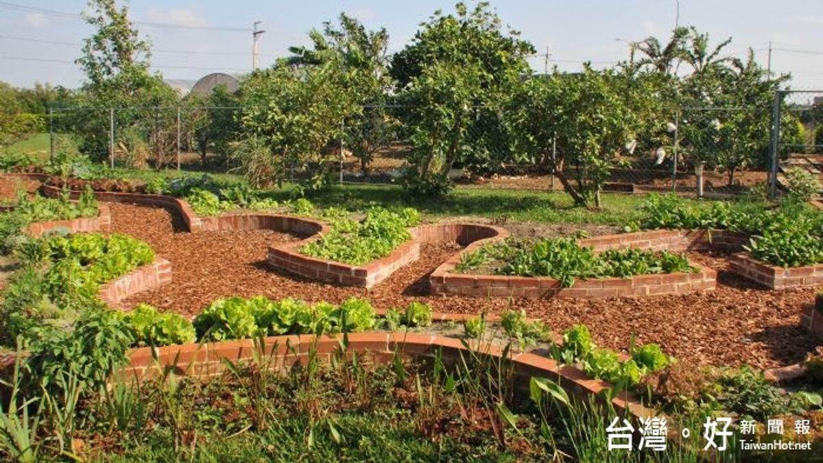 實踐低碳綠能農業 環保菜園啟蒙兒童 實踐低碳綠能農業 環保菜園啟蒙兒童