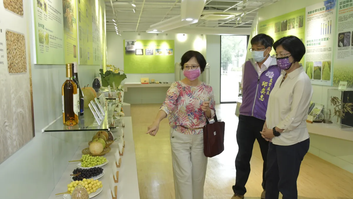 台中農改場李紅曦場長為彰化縣王惠美縣長及農業局邱奕志局長導覽解說。(圖/彰化縣政府)